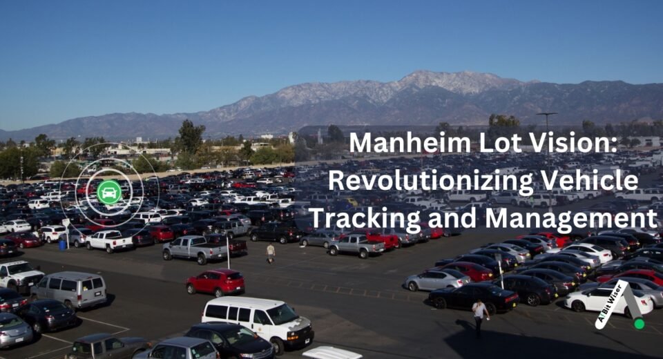 manheim lot vision